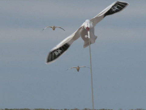 sx snow goose flyer decoy