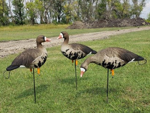 SX Specklebelly Decoys