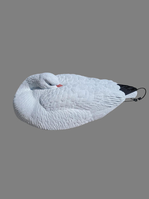 adult snow goose sleeper shell decoy